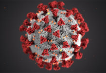 Coronavirus, 133 nuovi casi
