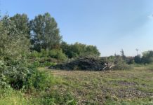 L’area boscata, ormai decimata, lascerà il posto a una colata di cemento