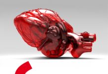 Festivalfilosofia: intelligenze umane e artificiali protagoniste