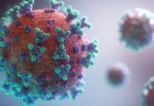 Coronavirus, 179 nuovi positivi