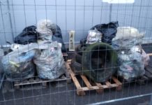 I volontari ripuliscono Novi dalla spazzatura