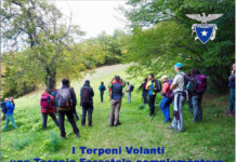 Scopri la Terapia Forestale con il Cai