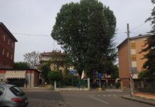 Il pioppo di via Dorando Pietri è salvo!