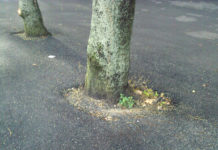 Non vogliamo verde in città, ma una città nel verde!