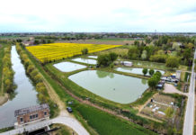 Due alberi per ciascun cittadino ma si deve migliorare