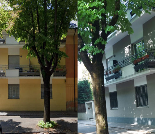 Viale Carducci, il grigio della discordia