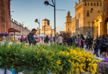 Tutti i colori di fine estate con Carpinfiore