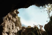 Il Buco arriva al Cinema