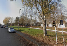 Quartiere Magazzeno, alzi la mano chi vuole adottare delle piante da frutto!