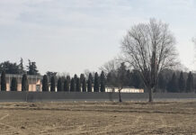 Ripulito il muro del cimitero, ora verrà piantata la siepe