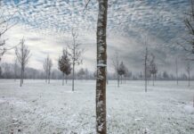 Sguardi sul Parco di Santacroce