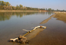 Siccità, la situazione del Po resta critica