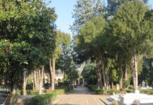 Il cimitero cittadino merita maggiore decoro