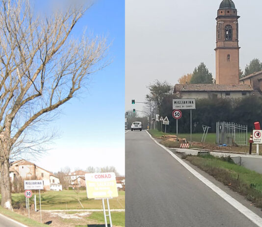 Abbattuti i due maestosi pioppi di via Guastalla