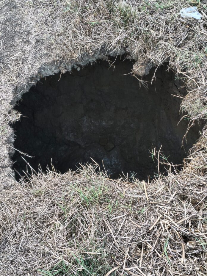 WhatsApp Image 2025-08-25 at 18.57.38