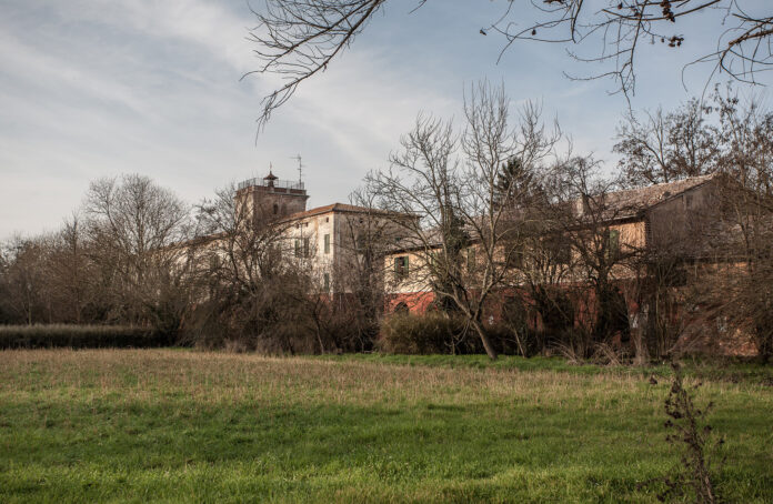 555703817_1560205765339097_8626320570642017405_n