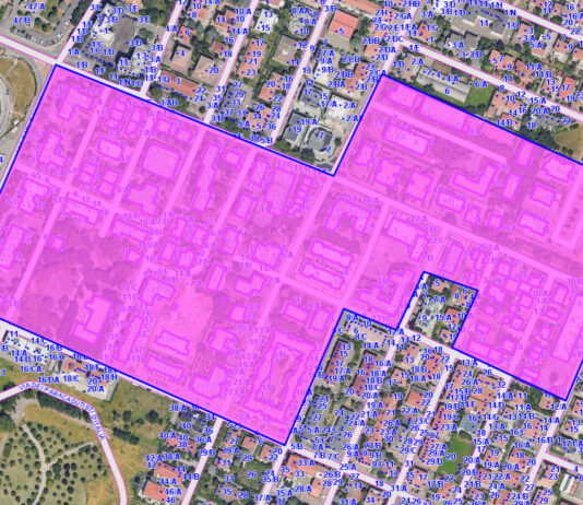 Battaglia notturna contro le zanzare: Carpi si prepara all'offensiva