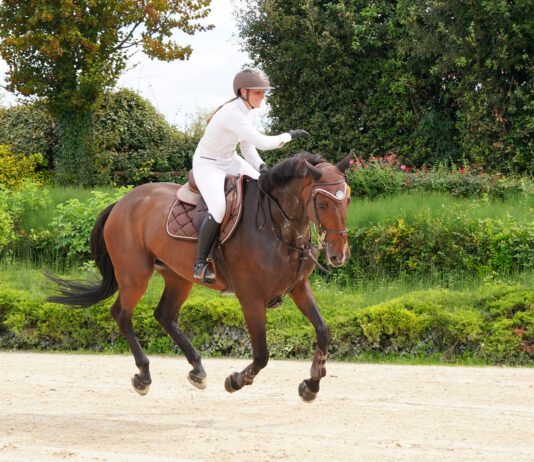Claudia Caramaschi vola alto: la carpigiana conquista il Gran Premio a cavallo di Million Dollar Baby