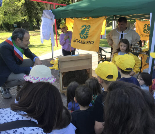 Api sotto stress: la battaglia silenziosa al Parco della Cappuccina