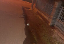Perdita d’acqua in via Seneca, perchè nessuno interviene?