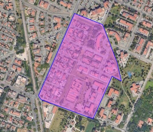 Zanzara tigre, scatta l'allarme: tre quartieri nel mirino