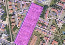 Zanzara tigre, disinfestazione in tre nuove aree: via Grosoli, Semper e Roosevelt