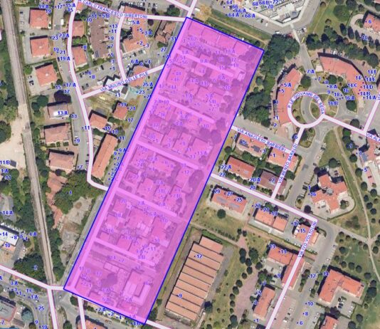 Le zanzare tornano all'attacco: tre quartieri sotto assedio