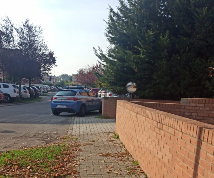 WhatsApp Image 2025-10-11 at 15.53.35