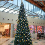 Scatta una foto di famiglia sotto l’Albero