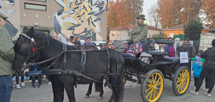 WhatsApp Image 2025-11-04 at 17.32.36 (3)