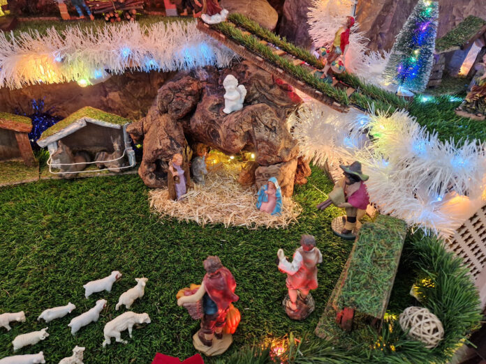 WhatsApp Image 2025-11-27 at 15.25.34 (3)