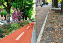 Viale Carducci, nuove piante nell’aiuola davanti alle Fanti