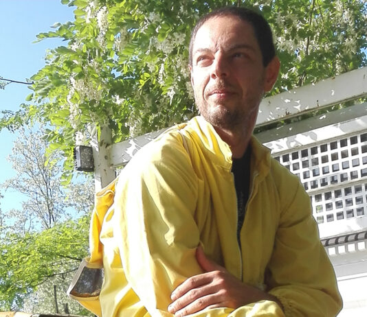 Un viaggio nel mondo delle api e dei loro tesori con Luca Serri