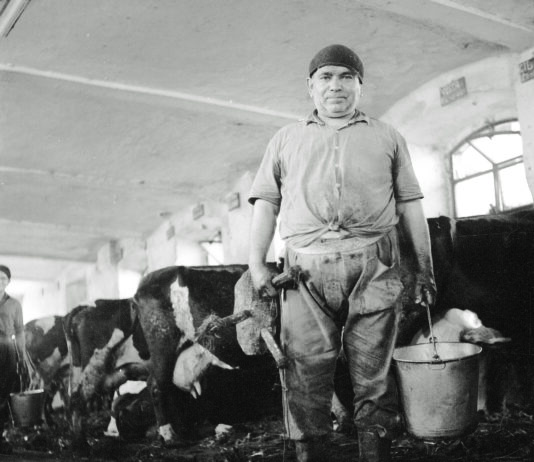 Al Cinema Eden un viaggio nella civiltà contadina con i canti de I Violenti Piovaschi