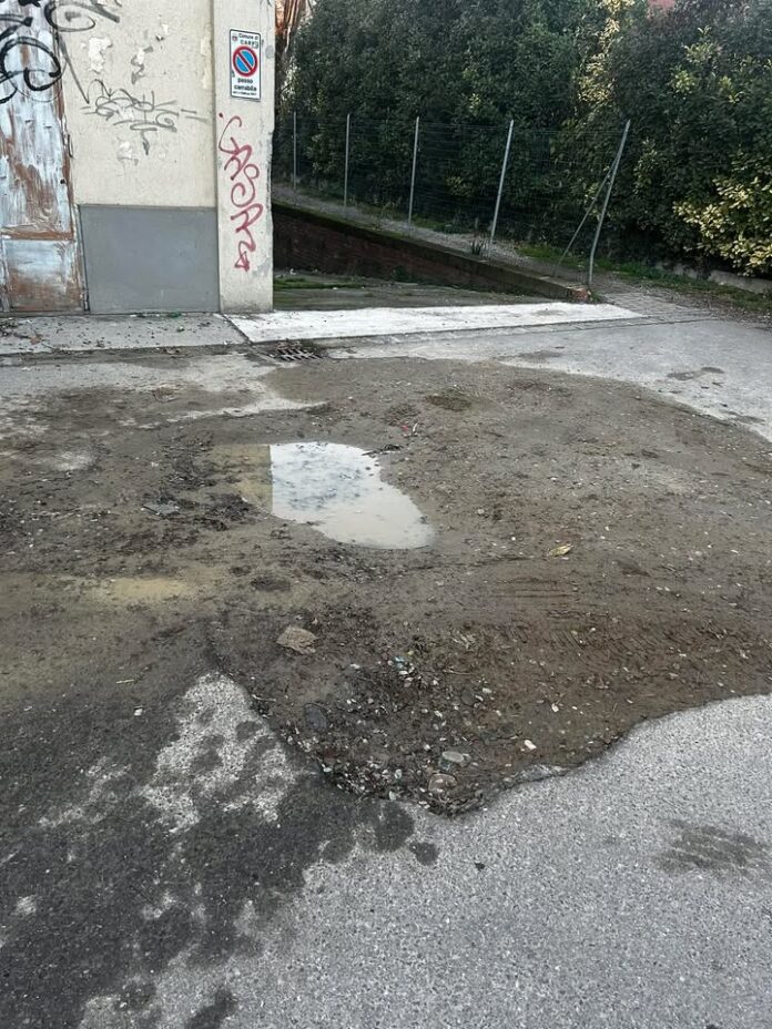 597284019_892623303448765_6989057861936614816_n