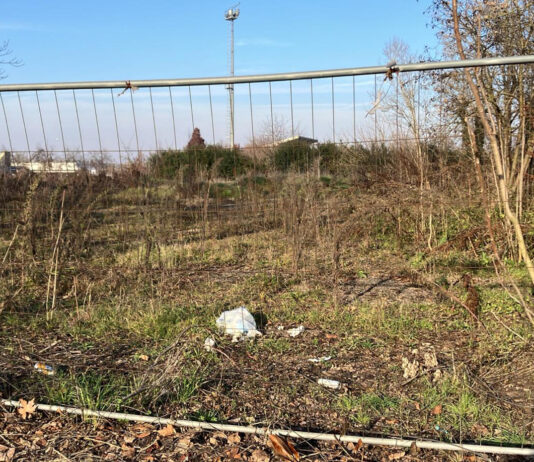 L’ex campo nomadi diventa un’area di forestazione urbana