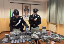 I Carabinieri arrestano un 26enne carpigiano: aveva quasi 15 chili di droga in casa