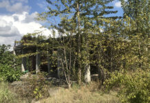 Cantiere abbandonato a Cibeno, “Attualmente l’area è oggetto di uno studio per la sua valorizzazione”