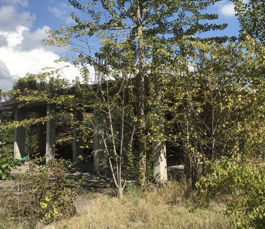 Cantiere abbandonato a Cibeno, “Attualmente l’area è oggetto di uno studio per la sua valorizzazione”