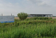 Brescello, maxi discarica di acciaio sotto terra, tra gli indagati anche cinque tecnici di Arpae