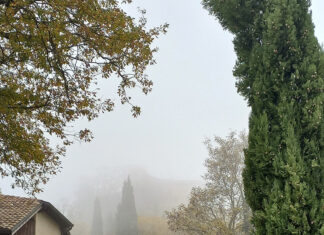 Quattro passi a Quattro Castella