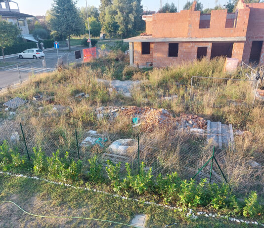 Rifiuti abbandonati in un lotto privato, “stiamo facendo di tutto per risolvere la situazione”