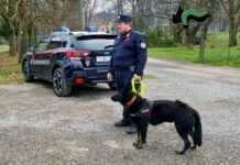 Allarme esche e bocconi avvelenati, all’opera il cane antiveleno Freddy