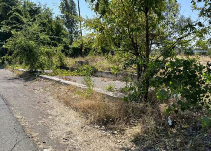 Screenshot-2025-12-18-alle-10.56.30