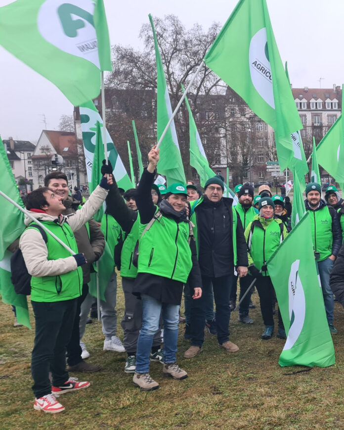 WhatsApp Image 2026-01-23 at 12.46.25 (2)