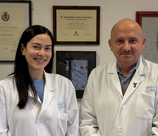 Mutazioni BRCA e tumore al seno, ricercatrici Unimore contribuiscono a descrivere le implicazioni delle diverse varianti