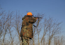 Carpi, 76enne aggredisce un uomo che lo sorprende a cacciare sulla sua proprietà
