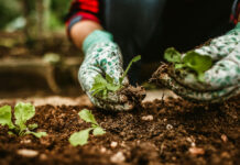 “Tuteliamo chi coltiva in modo sano” se ne parla a Terrevive