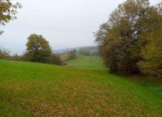 Da Quattro Gassoli a Prignano: un tratto di Bibulca