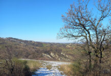 Nella terra natale di Domenico Vandelli, da Levizzano Rangone a Denzano